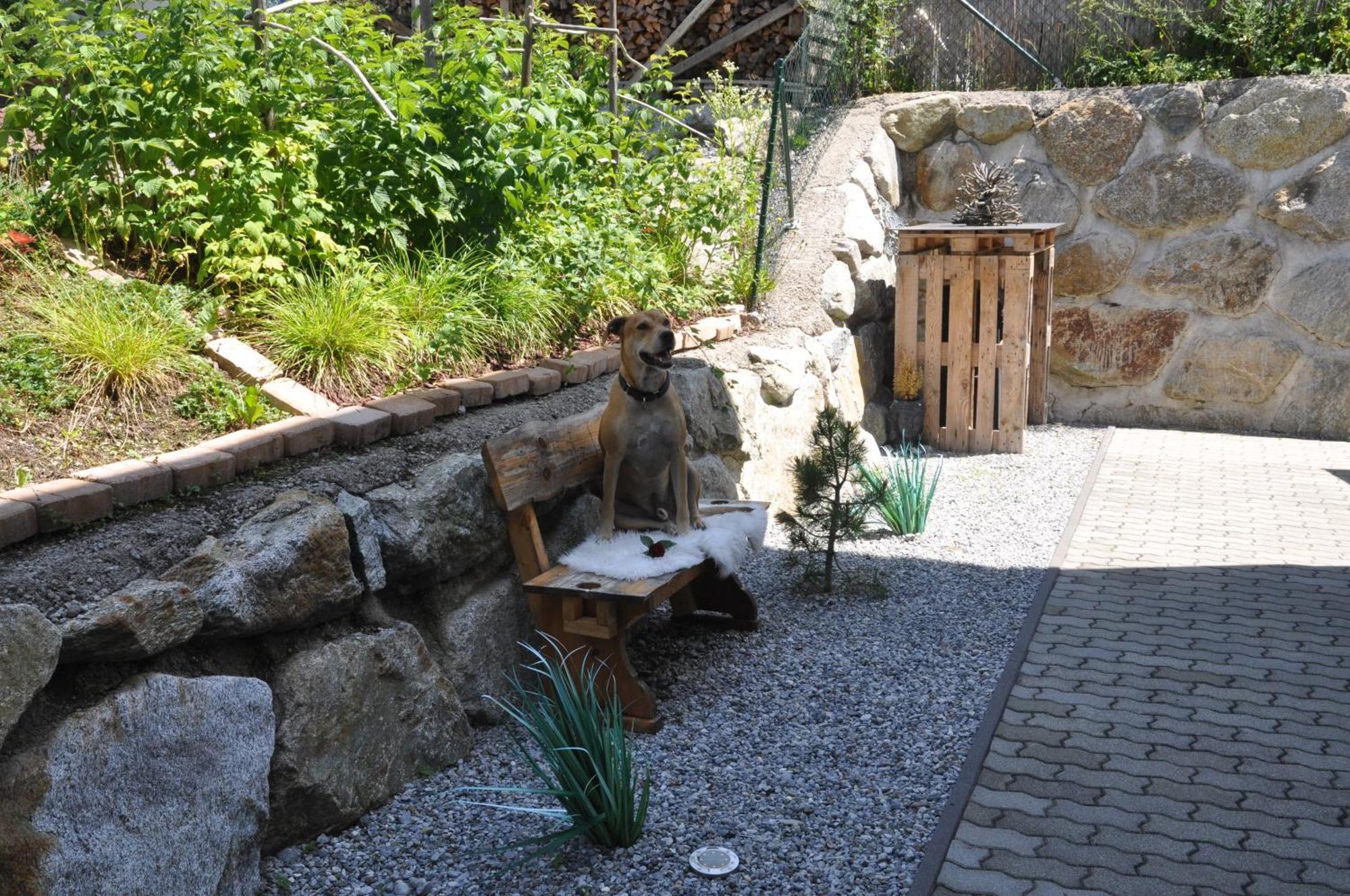Ferienwohnung Baerbel ザウテンス エクステリア 写真